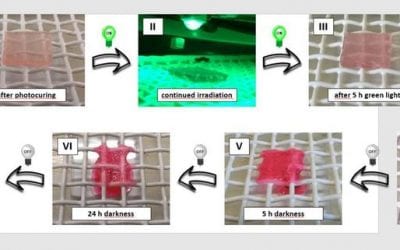 Green light for a new generation of dynamic materials