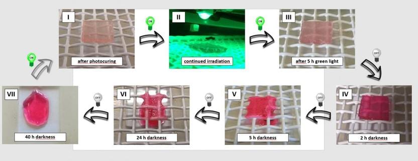 Green light for a new generation of dynamic materials