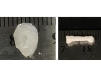 Microgel supports 3D printing of organs from stem cells