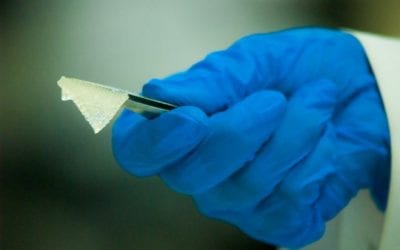 Omid Afarinan is Bioprinting in Iran