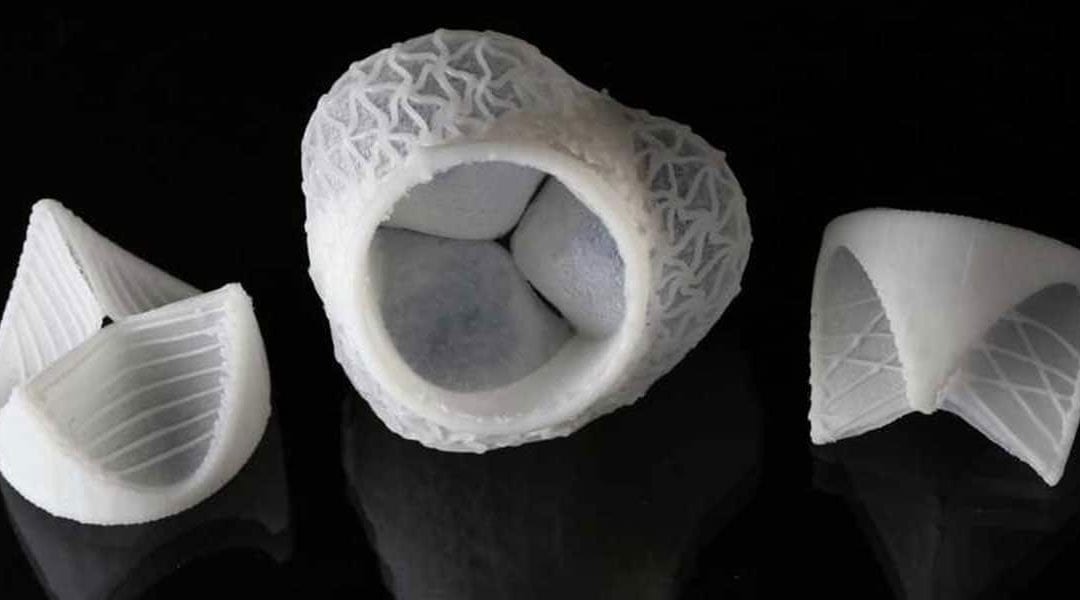 3D printing customized silicon heart valves