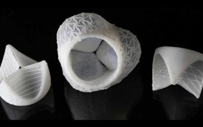 3D printing customized silicone heart valves (video)