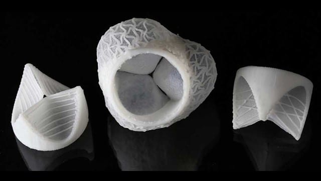 3D printing customized silicone heart valves (video)