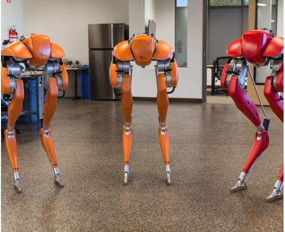 Get up and go! 3D printed bots are getting closer