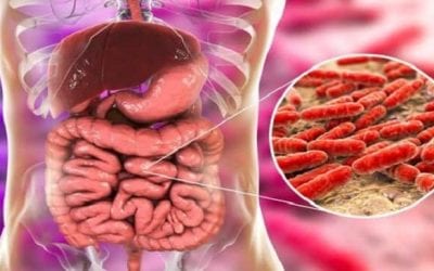 Gut bacteria can affect health: Novel 3D pill to collect samples