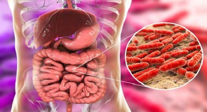 Gut bacteria can affect health: Novel 3D pill to collect samples