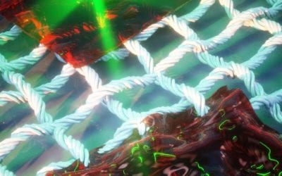 Green light for a new generation of dynamic materials