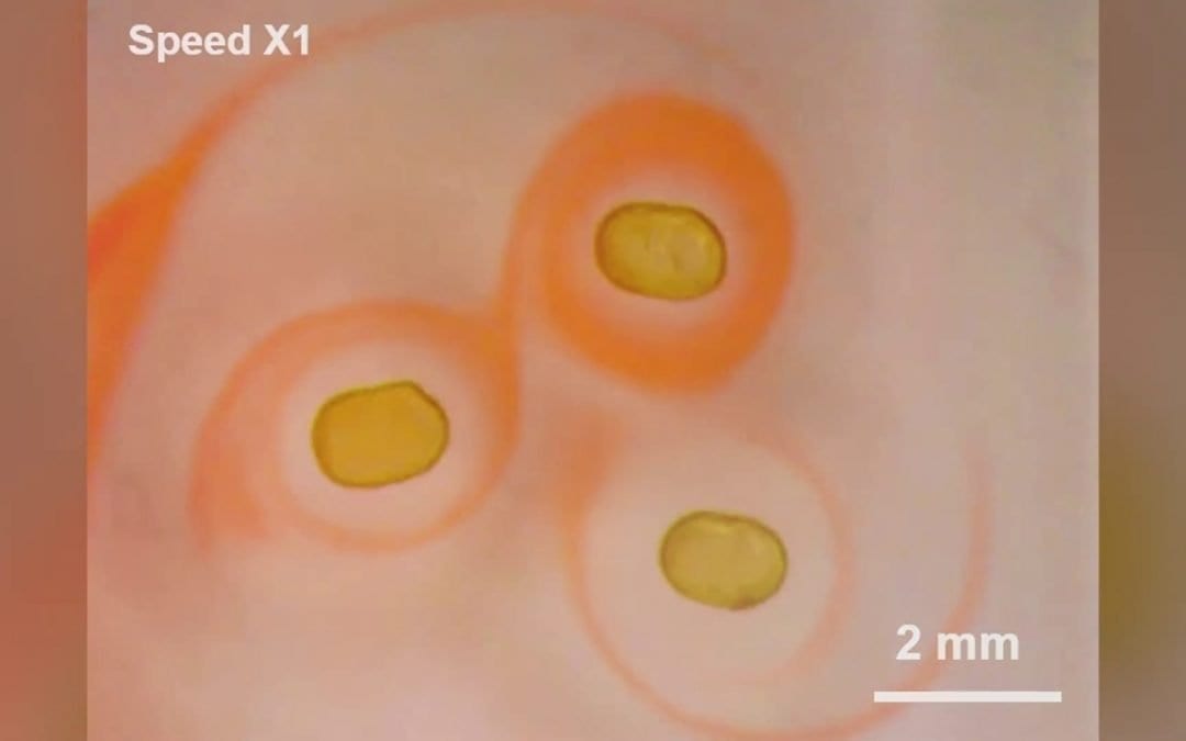 Scientists Print Liquid Magnetic Droplets