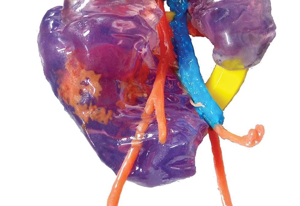 How Far Away Are We From 3D Printing Organs?