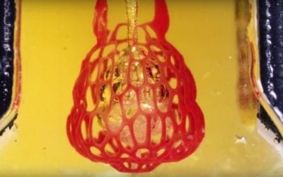 3D-printing organs moves a few more steps closer to commercialization