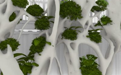 Sustainable 3D-printed habitat shows green engineering possibilities