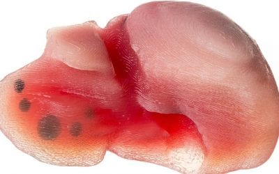 New Benchmarks in Multimaterial 3D Printing