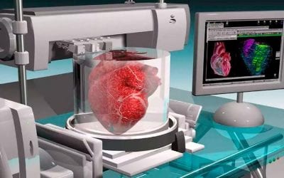 The Future of 3D Printing: Replication of Human Organs