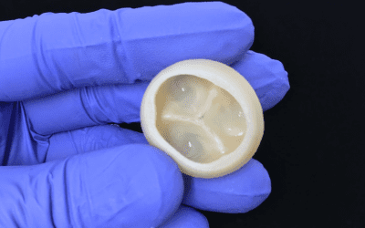 Carnegie Mellon researchers develop 3D printing for heart valves