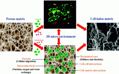 Constructing Three-Dimensional Microenvironments Using Engineered Biomaterials for Hematopoietic Stem Cell Expansion