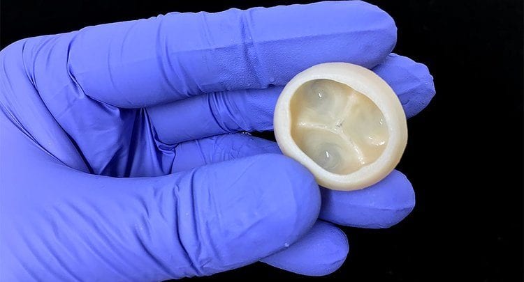 FluidForm’s FRESH bioprinting platform enables breakthrough in rebuilding heart tissues