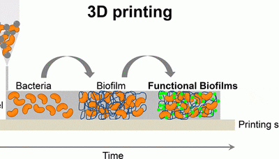 3D Printing Bacteria Biofilms for the Construction of Living Materials