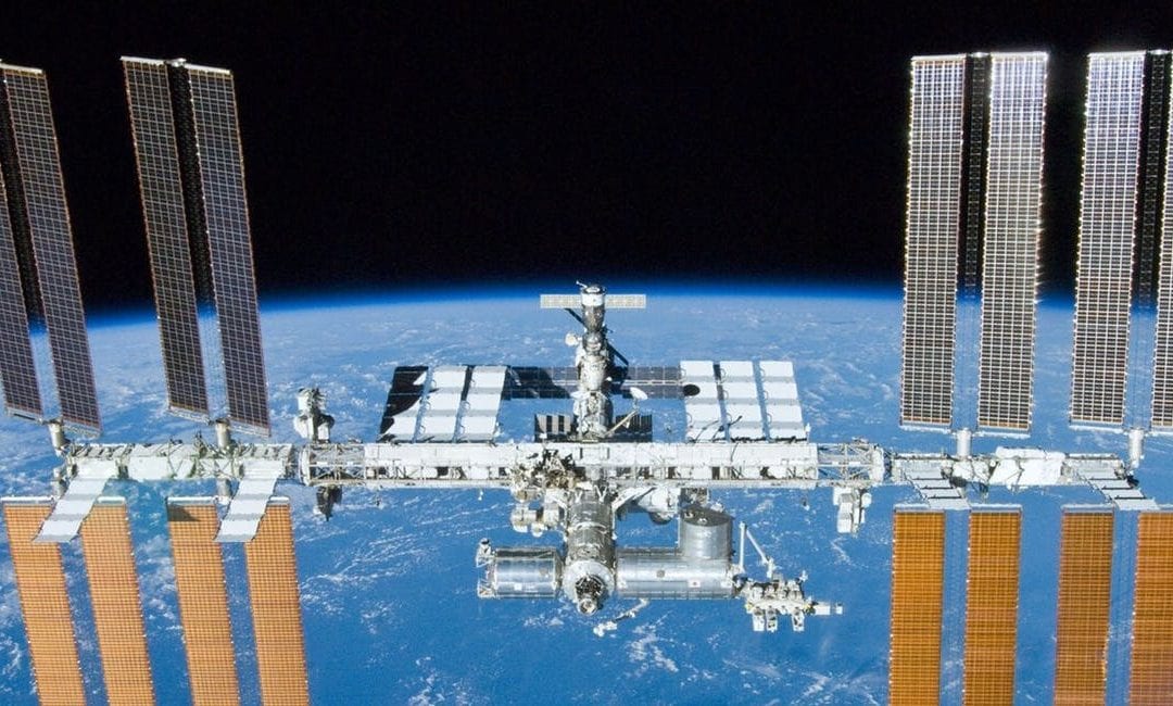 How 3D-Printed Organs at the International Space Station May Cure Diseases