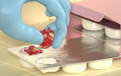 3D-printed hearts with ‘beating’ tissue could ease organ donor shortage