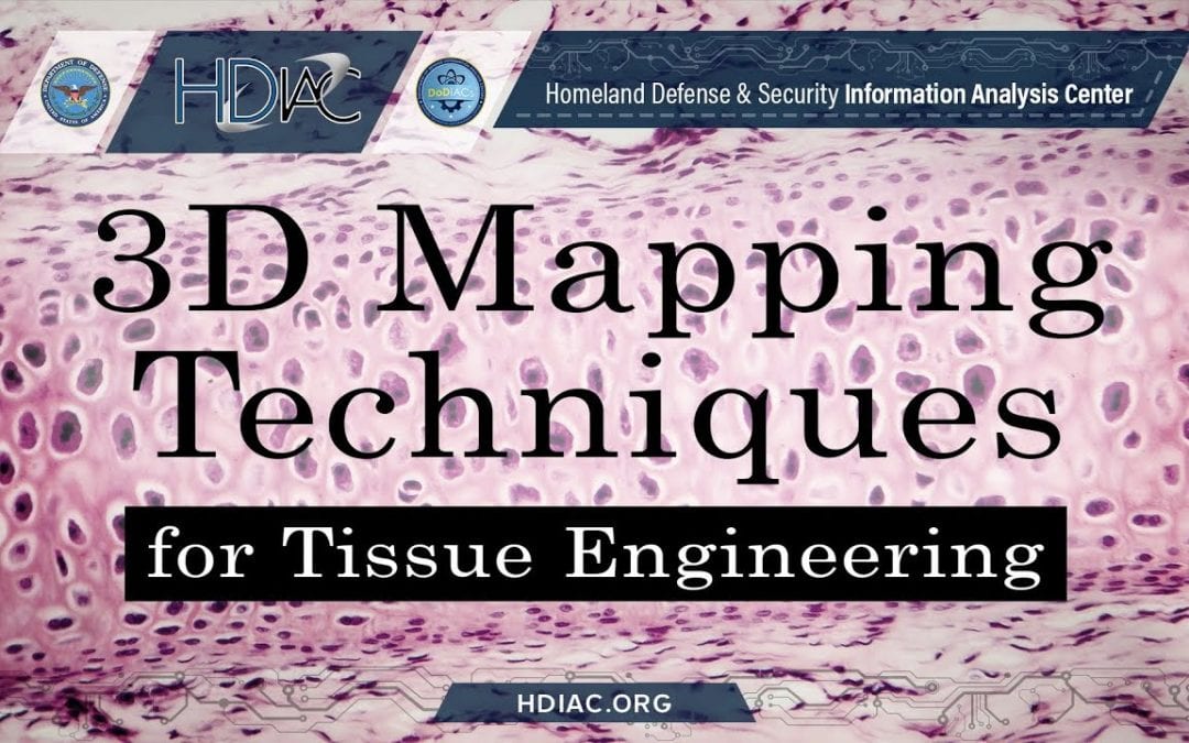 3D Mapping Techniques for Tissue Engineering