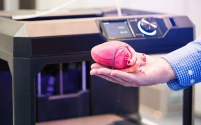 Chicago biotech company 3D prints miniature human heart