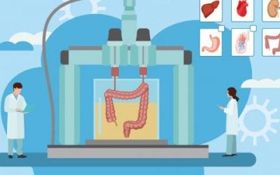 Will 3D Bioprinting Stem the Organ Transplant Crisis?