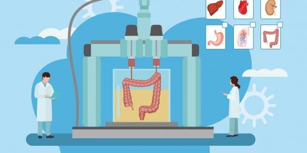 Will 3D Bioprinting Stem the Organ Transplant Crisis?