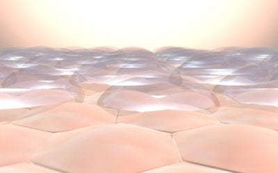 BASF and CTIBiotech evolve 3D skin model to enable anti-inflammatory analysis