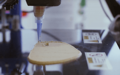 Novameat Gains New Funds to Take Its 3D Printed Plant-based Steak to Market