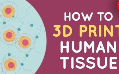 How to 3D Print Human Tissue [Science Video]