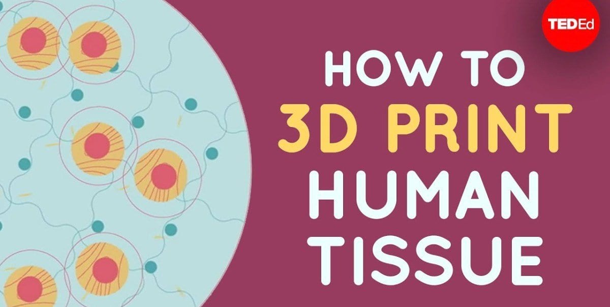 How to 3D Print Human Tissue [Science Video]