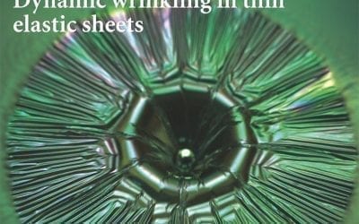 Shape-shifting structured lattices via multimaterial 4D printing