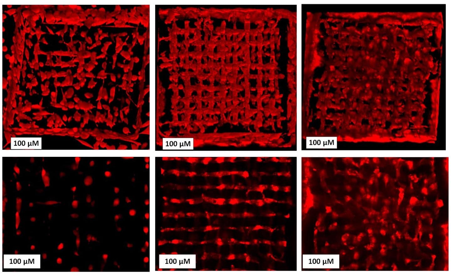 Bioprinting Living Cells Extremely Fast and at Very High Resolution in a 3D Printer