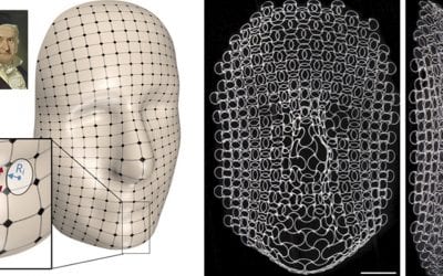 Complex lattices that change in response to stimuli open a range of applications in electronics, robotics, and medicine