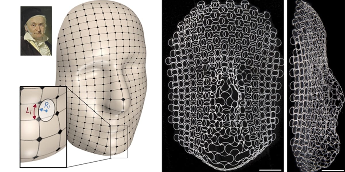 Complex lattices that change in response to stimuli open a range of applications in electronics, robotics, and medicine