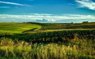 3DSD: Creating Sustainable Housing via Waste Materials and 3D Printing