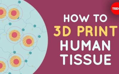 How to 3D print human tissue – Taneka Jones