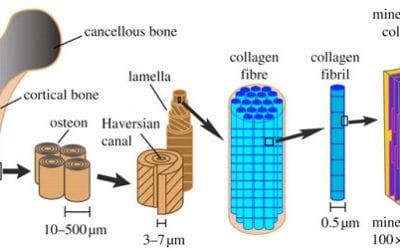 Fabricating nano- to macroscale hierarchical porous structures in a 3D printer