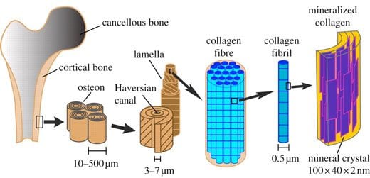 Fabricating nano- to macroscale hierarchical porous structures in a 3D printer