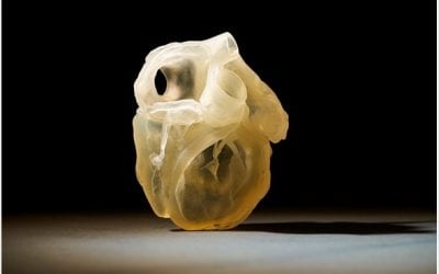 Stratasys’ new Digital Anatomy 3D Printer helps create a realistic training environment