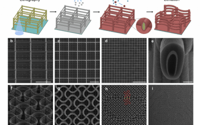 New Architected Material Shape-Changes to Tune Its Qualities