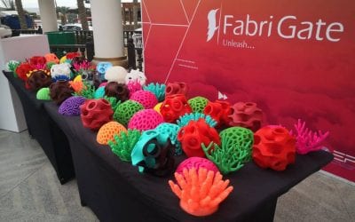 The Tech Startup Reviving Egypt’s Marine Life with 3D Printed Coral Reefs