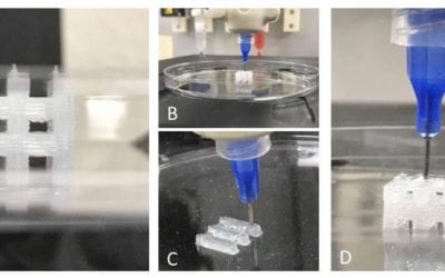Advanced Solutions demonstrates 3D tissue constructs using PDMS bioprinting