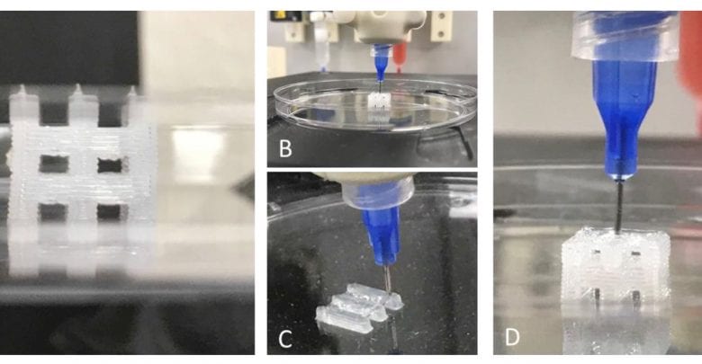 Advanced Solutions demonstrates 3D tissue constructs using PDMS bioprinting