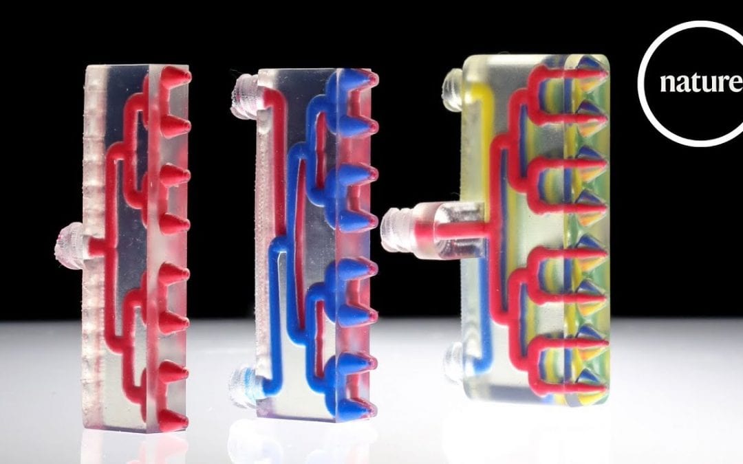 New 3D printer makes multi-material robots