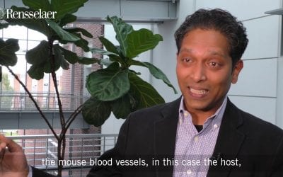 Rensselaer Team 3D Prints Skin with Blood Vessels Included