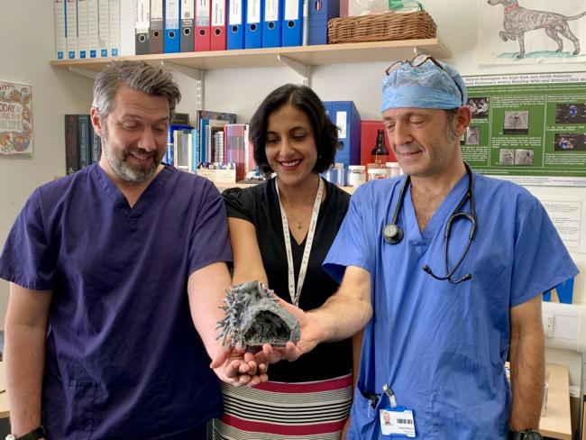 3D printer could change the way children's heart surgery is performed in Southampton