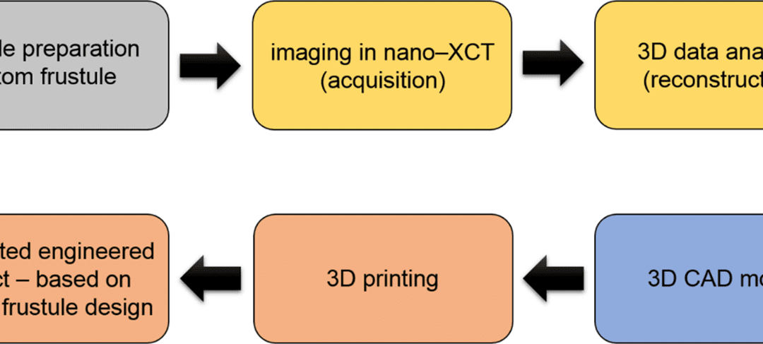 3D Diatom–Designed and Selective Laser Melting (SLM) Manufactured Metallic Structures