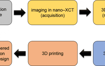 3D Diatom–Designed and Selective Laser Melting (SLM) Manufactured Metallic Structures