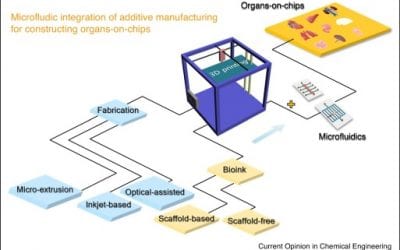 3D Printing, Microfluidics & Organ-on-Chips Coming Together